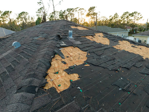 Trusted Biltmore Forest, NC Roofing Services Experts