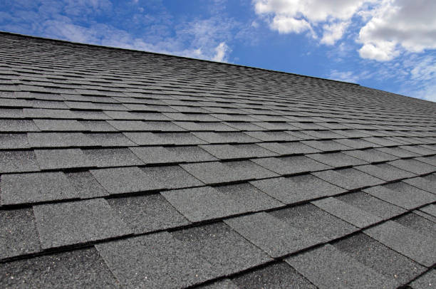 Trusted Biltmore Forest, NC Roofing Services Experts